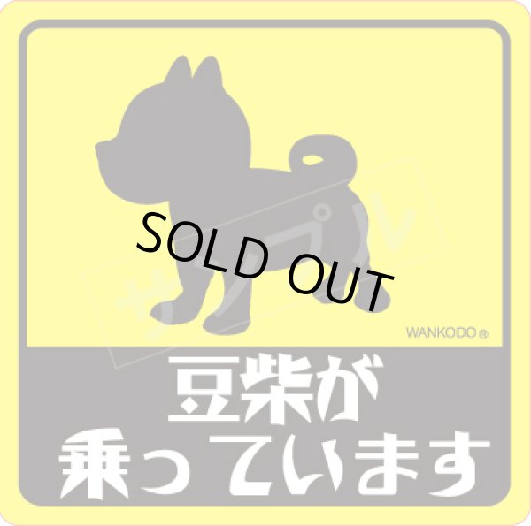 画像1: 豆柴が乗っています (1)