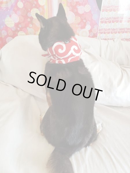 画像5: 荷物風バンダナ　唐草中柄赤 (5)