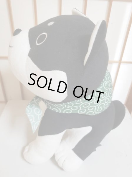 画像2: 黒柴っこ大 (2)