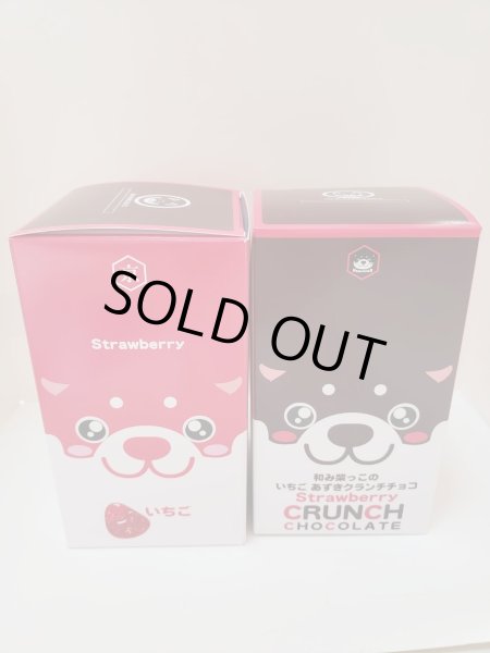 画像2: 和み柴っこのいちご　あずきクランチチョコ (2)