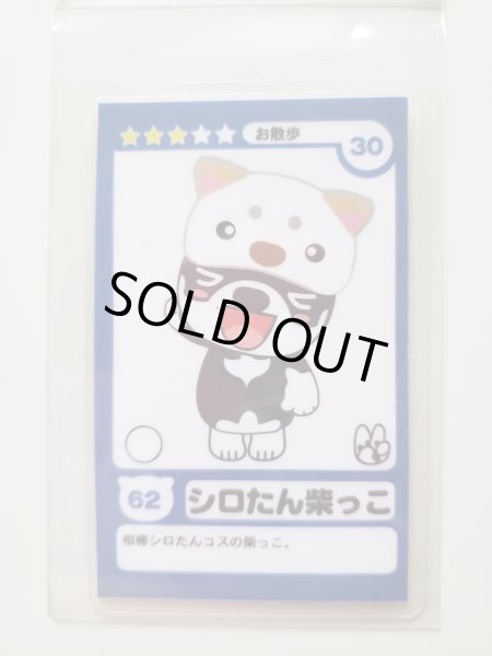 画像3: 和み柴っこトレーディングカードゲーム「ドキドキ柴っこ編」予約商品（納期約一週間） (3)