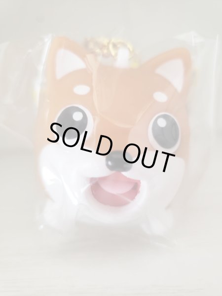 画像2: たまペロ　シバイヌ茶 (2)