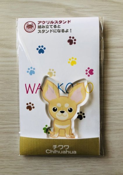 画像2: チワワ　スムース　クリーム (2)