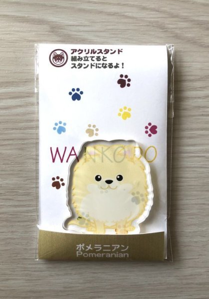 画像2: ポメラニアン (2)