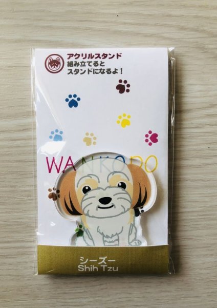 画像2: シーズー　ゴールド＆ホワイト (2)