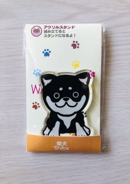 画像2: 柴犬　黒A (2)