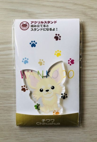 画像2: チワワ　ロング　クリーム (2)