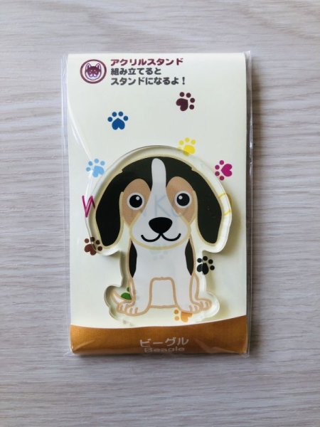 画像2: ビーグル (2)