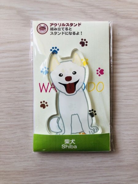 画像2: 柴犬　白B (2)