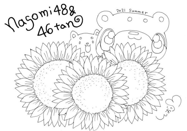 画像3: 和み柴っこのPonkyポンキーペンシル 12色 柴っこぬり絵付き (3)