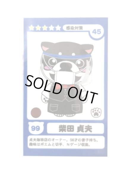 画像3: 和み柴っこトレーディングカードゲーム「夏の柴っこ編」予約商品（納期約一週間） (3)