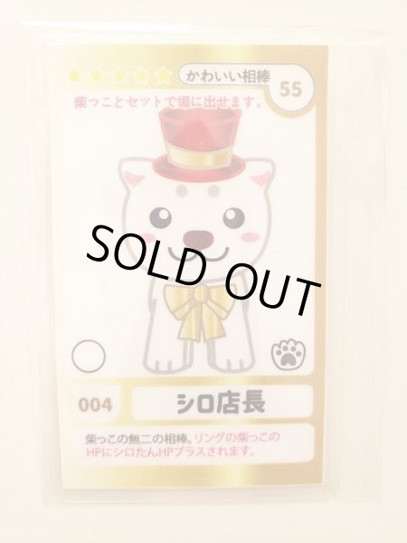 画像3: 和み柴っこトレーディングカードゲーム「ゴージャス柴っこ編」予約商品（納期約一週間） (3)