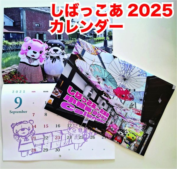 画像1: しばっこあ　2025カレンダー (1)