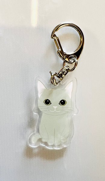 画像1: グレー猫アクリルキーホルダー (1)