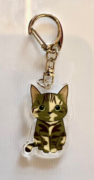 画像1: サビ猫アクリルキーホルダー (1)