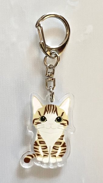 画像1: キジトラ猫アクリルキーホルダー (1)