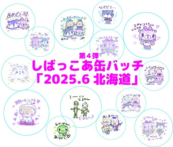 画像1: しばっこあブラインド缶バッチ  2025in北海道　全14種 (1)